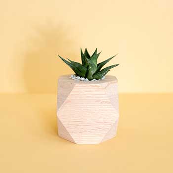 重构产业链条的电话炸弹防护业务