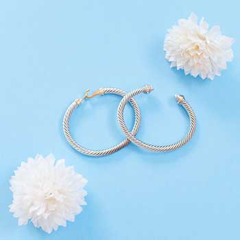 快速协议转换的电话自动追呼系统